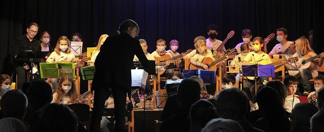 <BZ-FotoAnlauf>Mandolinenverein: </BZ-...musizierten im Brgersaal in Bleibach.  | Foto: Verein