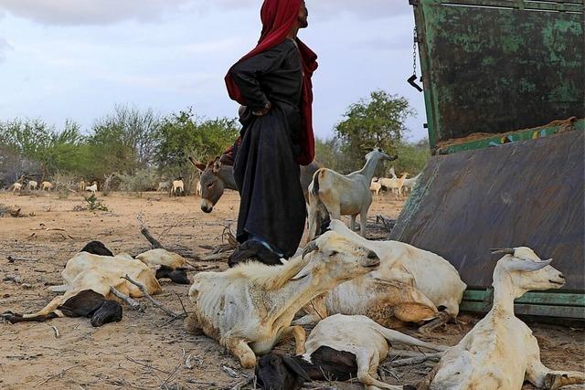 In Ostafrika droht eine Hungersnot