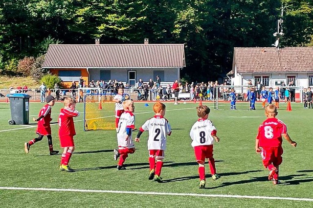 Beim FC Schnau tummeln sich nun auch ...e eine G-Juniorenmannschaft gegrndet.  | Foto: FC Schnau