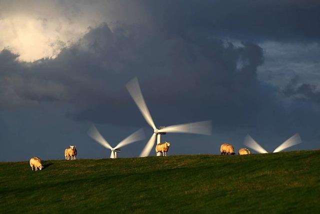 Fragen & Antworten: So will die Regierung erneuerbare Energien fördern