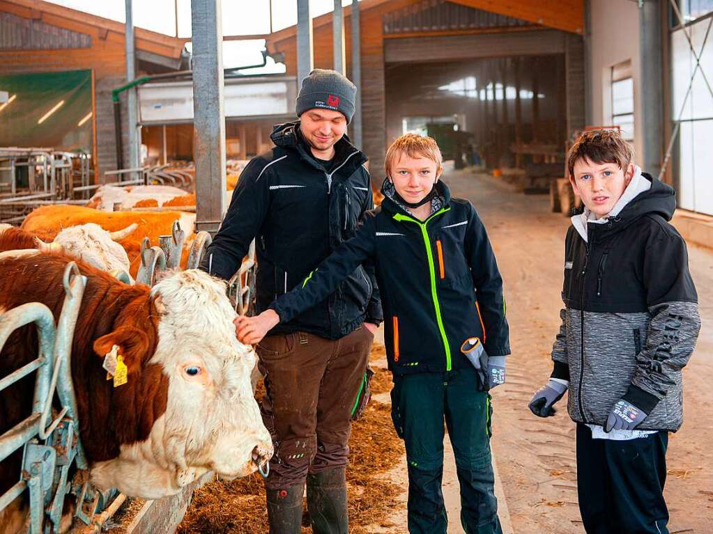 Keine Angst: Wenn Landwirt Fridolin Dietsche (links) dabei ist, lsst sich auch der Bulle streicheln.