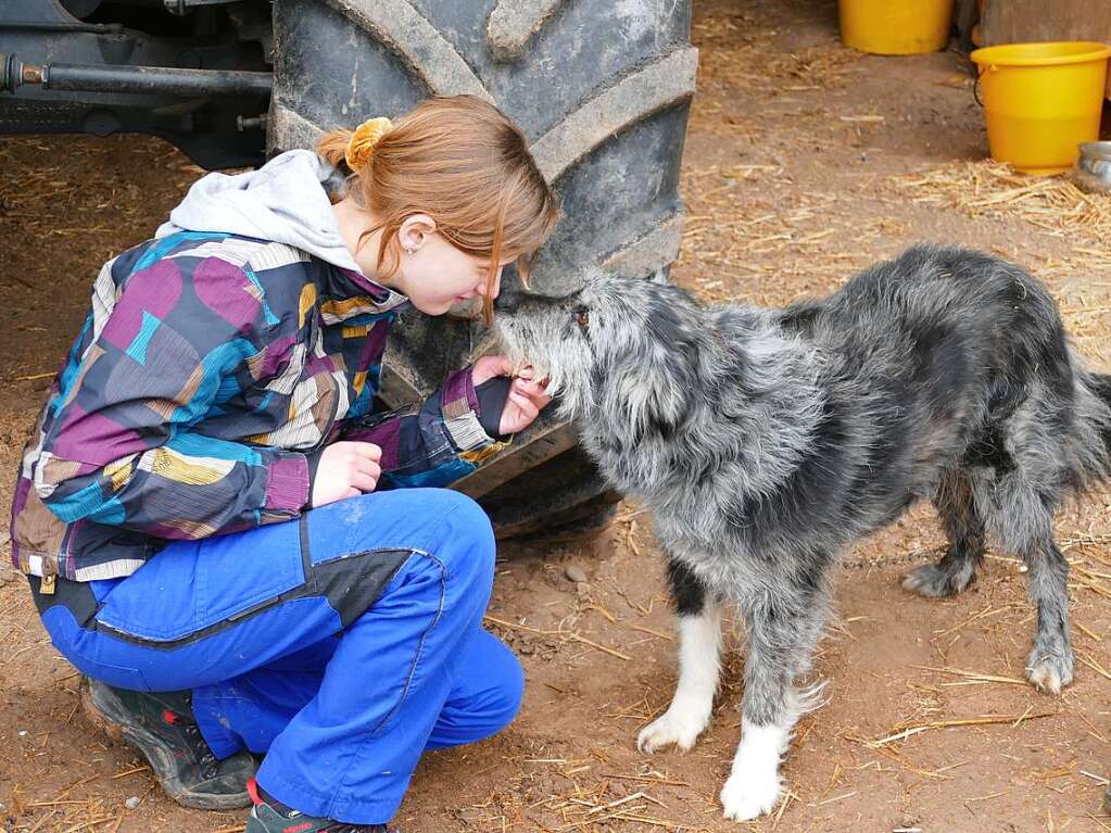 Auch der Hofhund freut sich ber Streicheleinheiten.