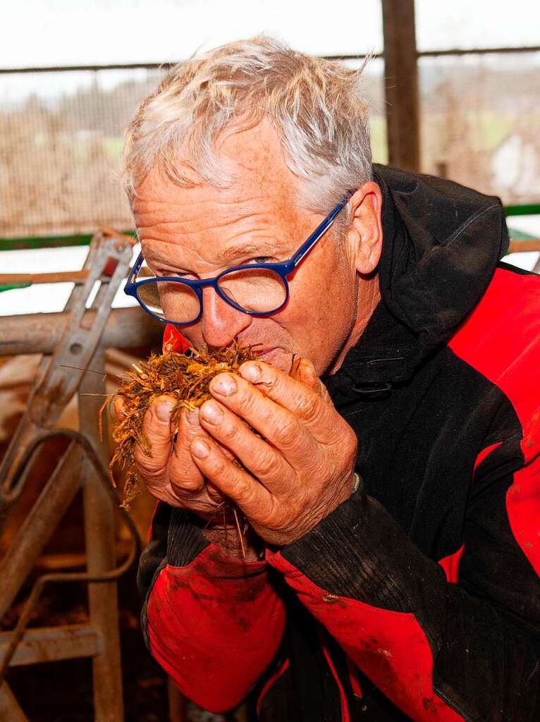 Eine Nase voll Landluft – die Silage riecht fein.