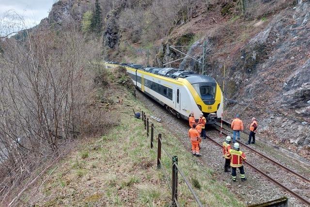 Nach Sturmschden sind derzeit alle Streckenteile der Breisgau-S-Bahn wieder frei