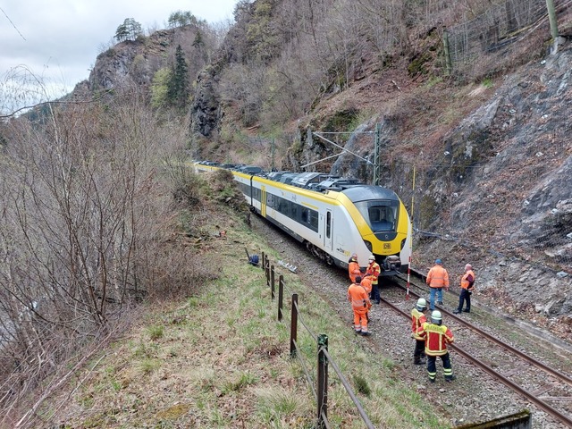 Der stillstehende  Zug beim Hirschspru...g wurde am Donnerstagabend  evakuiert.  | Foto: Max Schuler