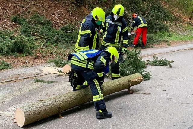 Feuerwehr zählt zwei Dutzend Sturm-Einsätze im Kreis Emmendingen
