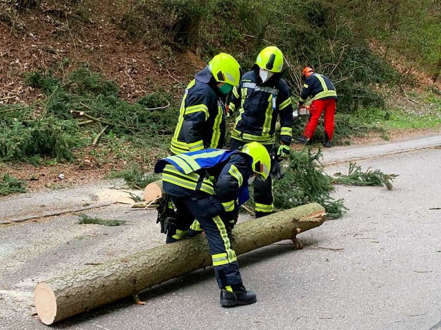 Feuerwehrleute zersgen einen Baum auf der Kandelstrae.  | Foto: Feuerwehr Waldkirch