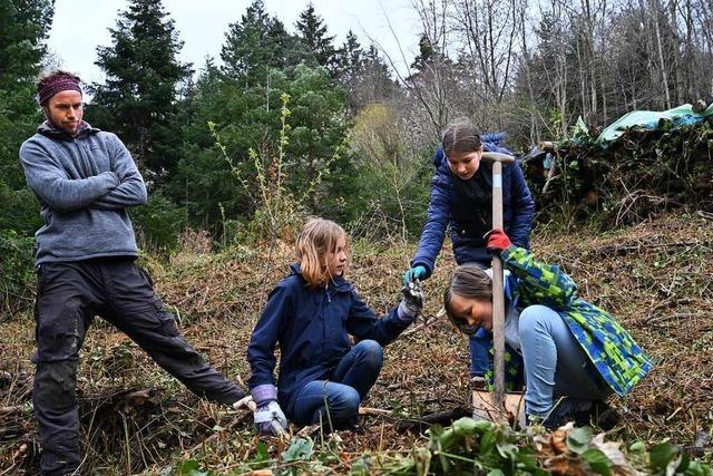 Ein neues Projekt soll Freiburgs Kindern den Wald nher bringen