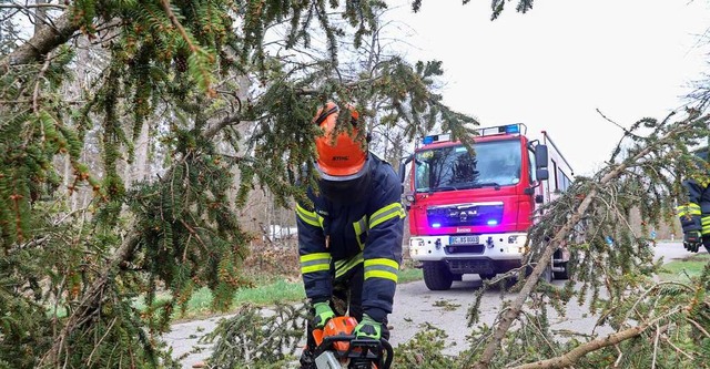 In vielen Gemeinden in Baden-Wrttemberg waren Feuerwehren im Einsatz.  | Foto: Thomas Warnack (dpa)