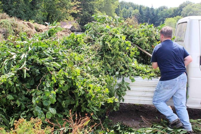 Noch ist unklar, wo der neue Grnschni...tz in Waldkirch hinkommt (Symbolfoto).  | Foto: Victoria Langelott