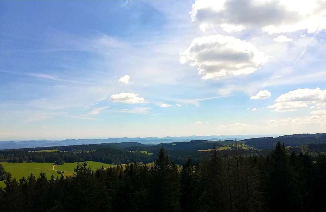 Blick ber die schwarzen Tannen im Kreis Waldshut  | Foto: Sara Trtschler