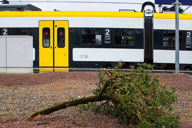 Durch den Sturm abgebrochene ste und ...sive Probleme auf der Breisgau-S-Bahn.  | Foto: Hubert Gemmert