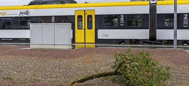 Von abgebrochenen sten und Bumen war der S-Bahn-Verkehr betroffen.  | Foto: Hubert Gemmert