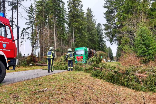 Durch den Sturm ber die Strae gestr...erwehr Bonndorf zersgt und beseitigt.  | Foto: Feuerwehr