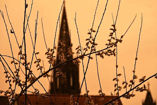 So sah Freiburg Mitte Mrz unter dem Sahara-Staub aus.  | Foto: Heinz Ney