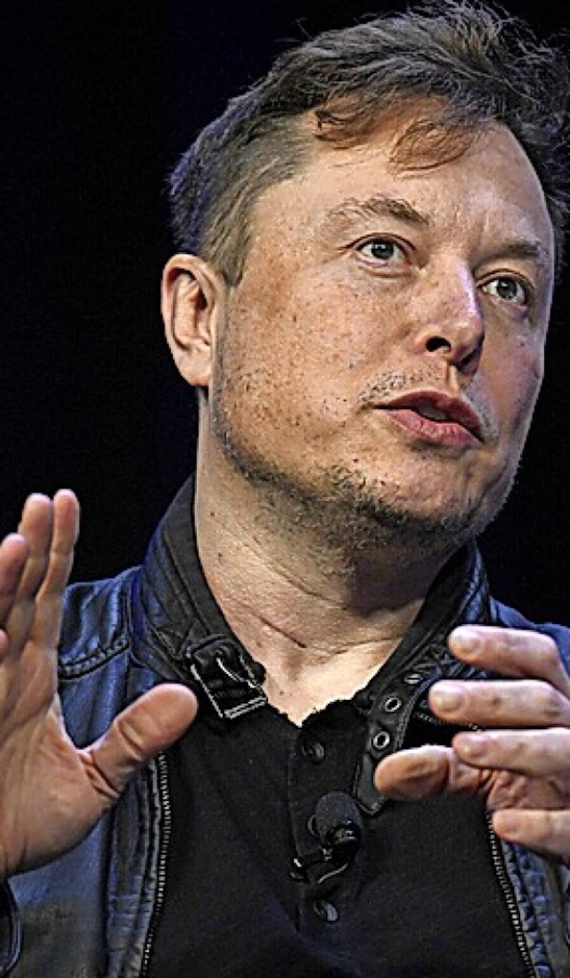 Elon Musk  | Foto: Susan Walsh (dpa)