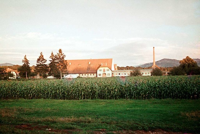 Das Gut Mundenhof mit seinen Feldern in den 1970er-Jahren  | Foto: Mundenhof