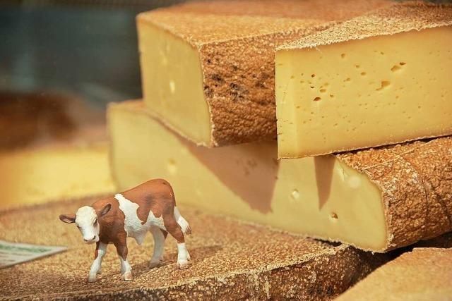 Käse ist ein wichtiges Standbein für Landwirte in Südbaden