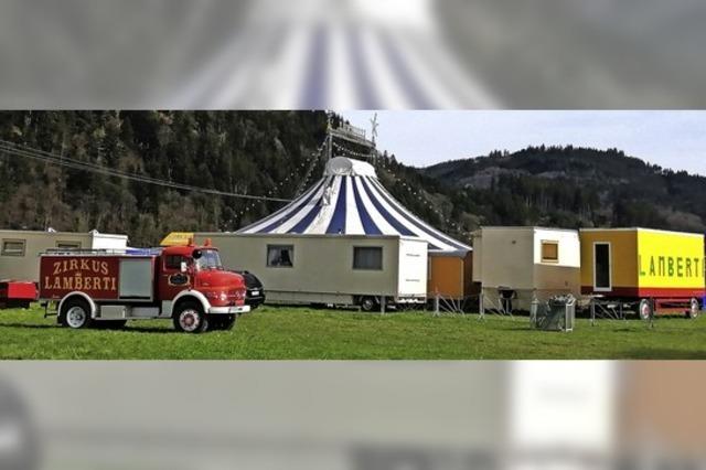 Zirkus am Eulenwald