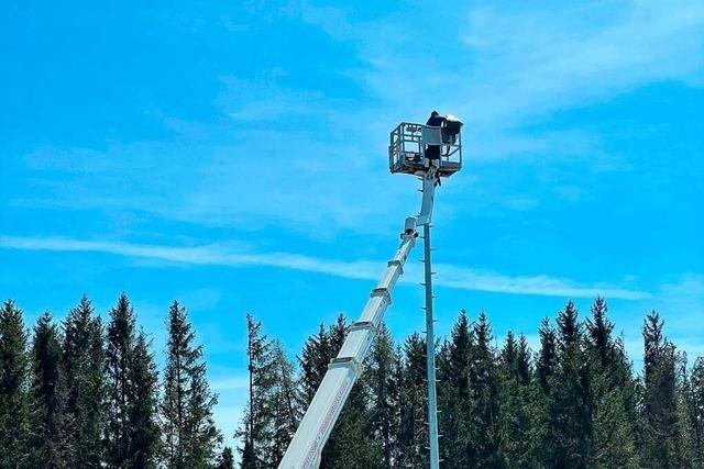 SV Hchenschwand hat einiges nachzuholen