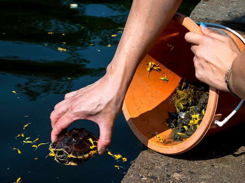 Wasser und buddhistische Rituale stehen im Mittelpunkt des Neujahrsfests Songkran in Thailand.