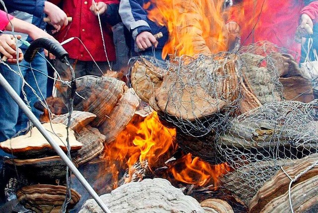 Die Baumpilze, die die St. Petermer Ki...haben, werden im Osterfeuer entzndet.  | Foto: dpa