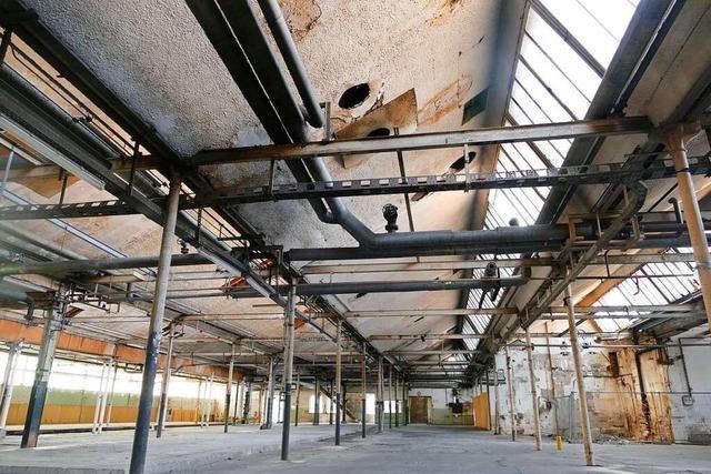 Zwei alte Werkshallen auf dem Lauffenmhle-Areal in Lrrach werden abgerissen