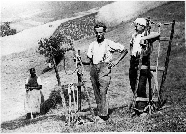 Das Foto von der Heuernte mit Krtze im im Heimatmuseum Yach zu sehen.  | Foto: Heimat- und Landschaftspflegeverein Yach