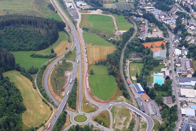Bergmähwiese verzögert Hornbach-Ansiedlung in Neustadt