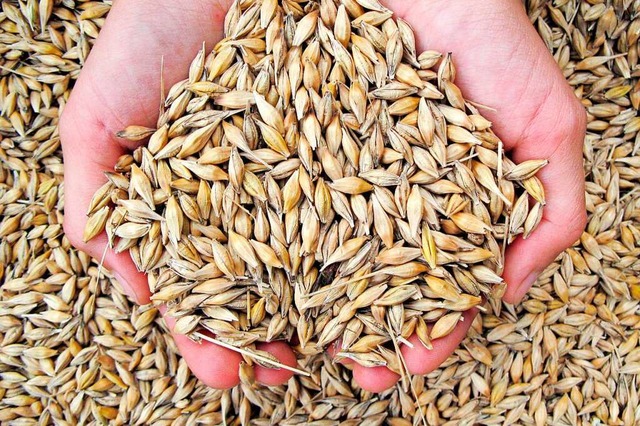 Ein Landwirt wollte Getreide in vier neuen Silos trocknen.  | Foto: Martin Gerten