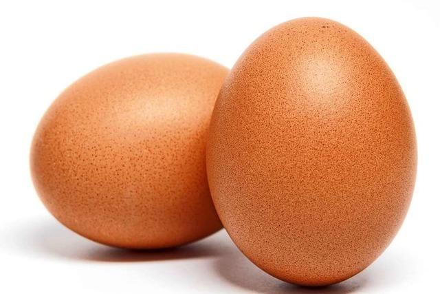 Warum legen Hennen fast jeden Tag ein Ei?
