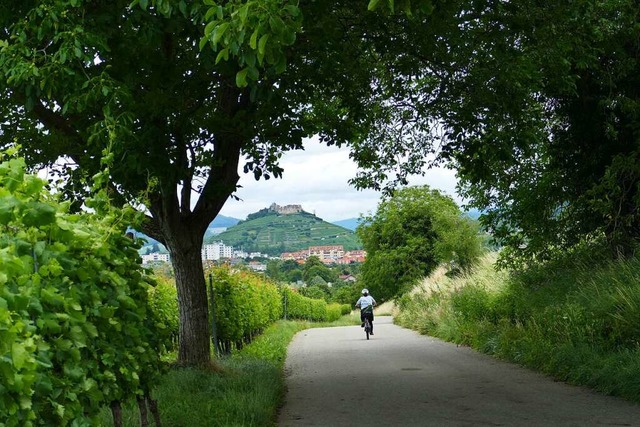 Auf ins Markgrflerland &#8211; bei einer gemtlichen Tour zum Saisonbeginn.  | Foto: Silke Kohlmann