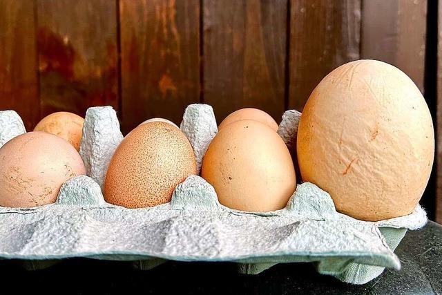 Huhn in Weil legt kurz vor Ostern ein Ei im Ei