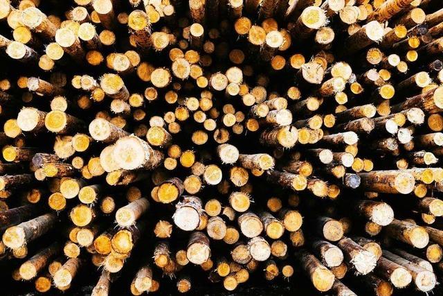 Die Nachfrage nach Holz ist in der Ortenau derzeit sehr stark