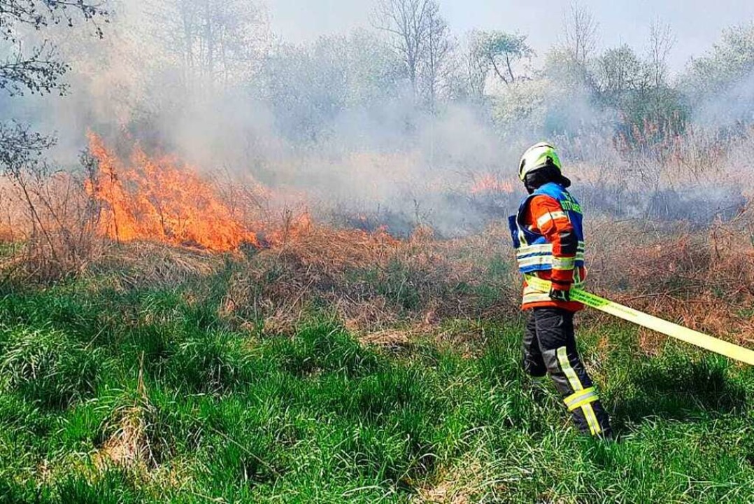 Ein Feuerwehrmann an der brennenden Grünfläche bei  Gottenheim.  | Foto: Feuerwehr Gottenheim