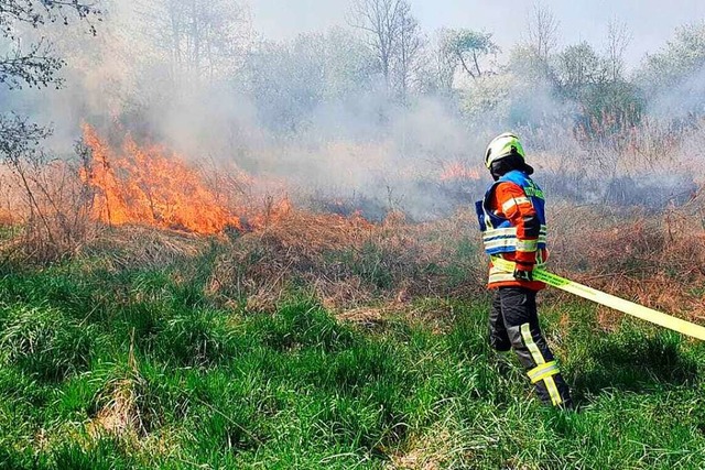 Ein Feuerwehrmann an der brennenden Grnflche bei  Gottenheim.  | Foto: Feuerwehr Gottenheim