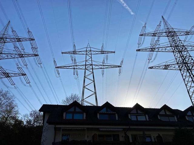 Die Stromtrassen berqueren  die Dche...ie Leitungen und die Masten  erneuern.  | Foto: Annemarie Rsch