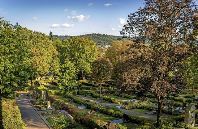 Der Lahrer Bergfriedhof ist das Ziel einer neuen Stadtfhrung.   | Foto: Stadt Lahr