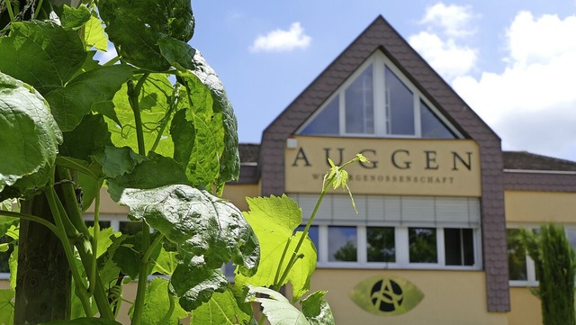 2020 und 2021 hatte der Winzerkeller geringere Erntemengen zu beklagen.  | Foto: Susanne Ehmann