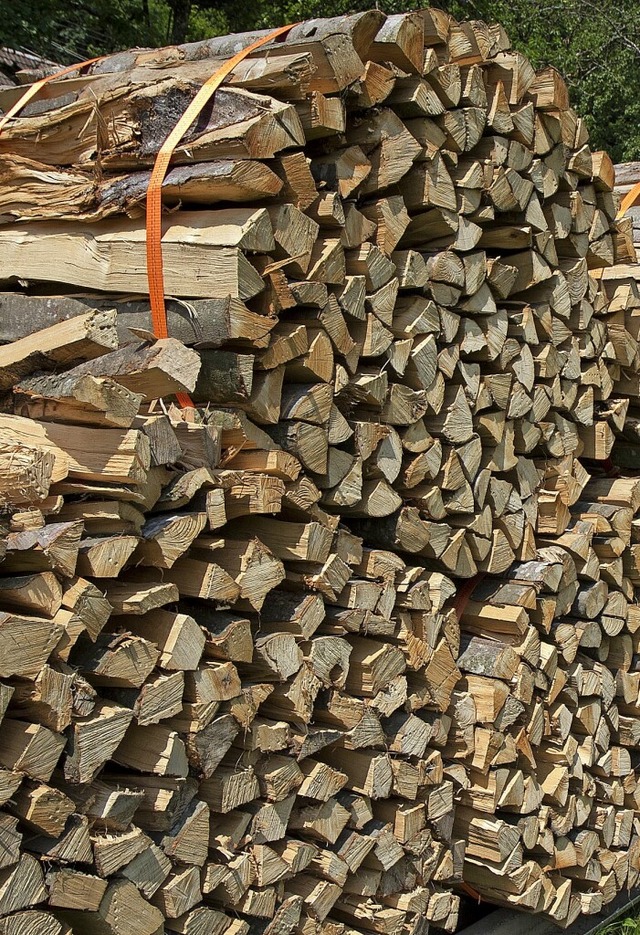 Wenn immer mehr auf Holzfeuerung statt...das auch Folgen fr die Wlder haben.   | Foto: Daniel Fleig