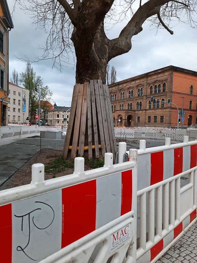 Bume besonders vor Bauarbeiten zu sch...ht nur in Weil  am Rhein (Symbolbild).  | Foto: Hannes Lauber