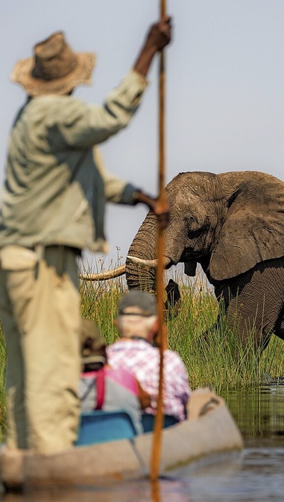 Der Tourismus ist in Botswana eine wichtige Einnahmequelle.  | Foto: GM Photos  (stock.adobe.com)