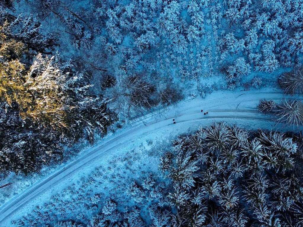 <BZ-FotoAnlauf>Motiv 6</BZ-FotoAnlauf> (Januar): Winterwald bei Freiamt aus der Vogelperspektive