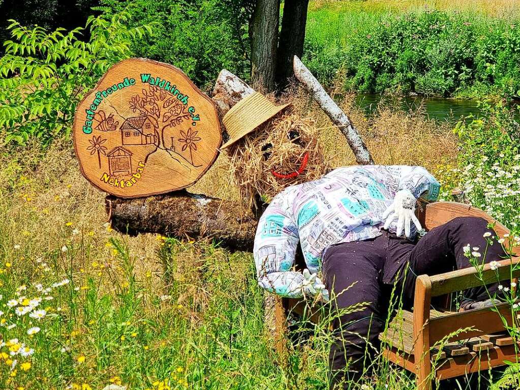 <BZ-FotoAnlauf>Motiv 12</BZ-FotoAnlauf> (August): An der Waldkircher Nektarbar ruht sich dieser strohige Geselle aus.