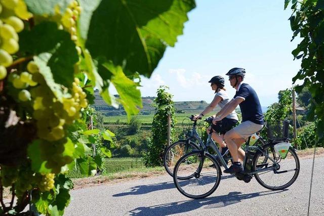 Erleben Sie eine BZ-Feinschmeckertour am Kaiserstuhl!