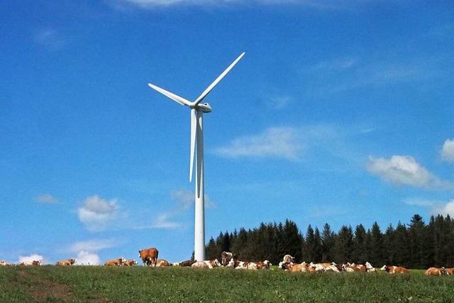 Sozialdemokraten wollen schnelleren Ausbau der Windenergie im Kreis Breisgau-Hochschwarzwald