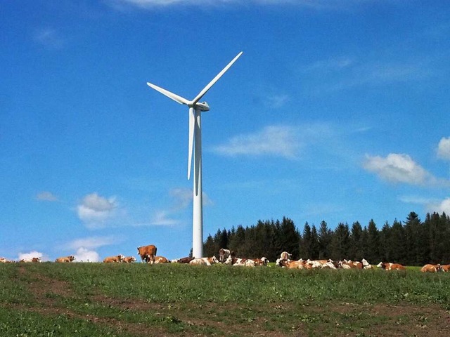 Auf Gemarkung von St. Peter wurde 2012...dkreis eine Windkraftanlage genehmigt.  | Foto: Markus Donner