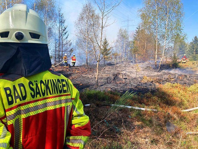 Insgesamt hat es auf einer Flche von rund 10000 Quadratmetern gebrannt.  | Foto: Feuerwehr Bad Sckingen