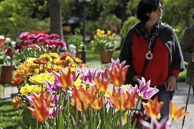 Tulpenfest im Stadtpark
