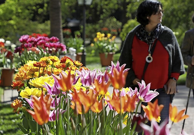 Blhende Tulpen  im Lahrer Stadtpark     | Foto: Christoph Breithaupt